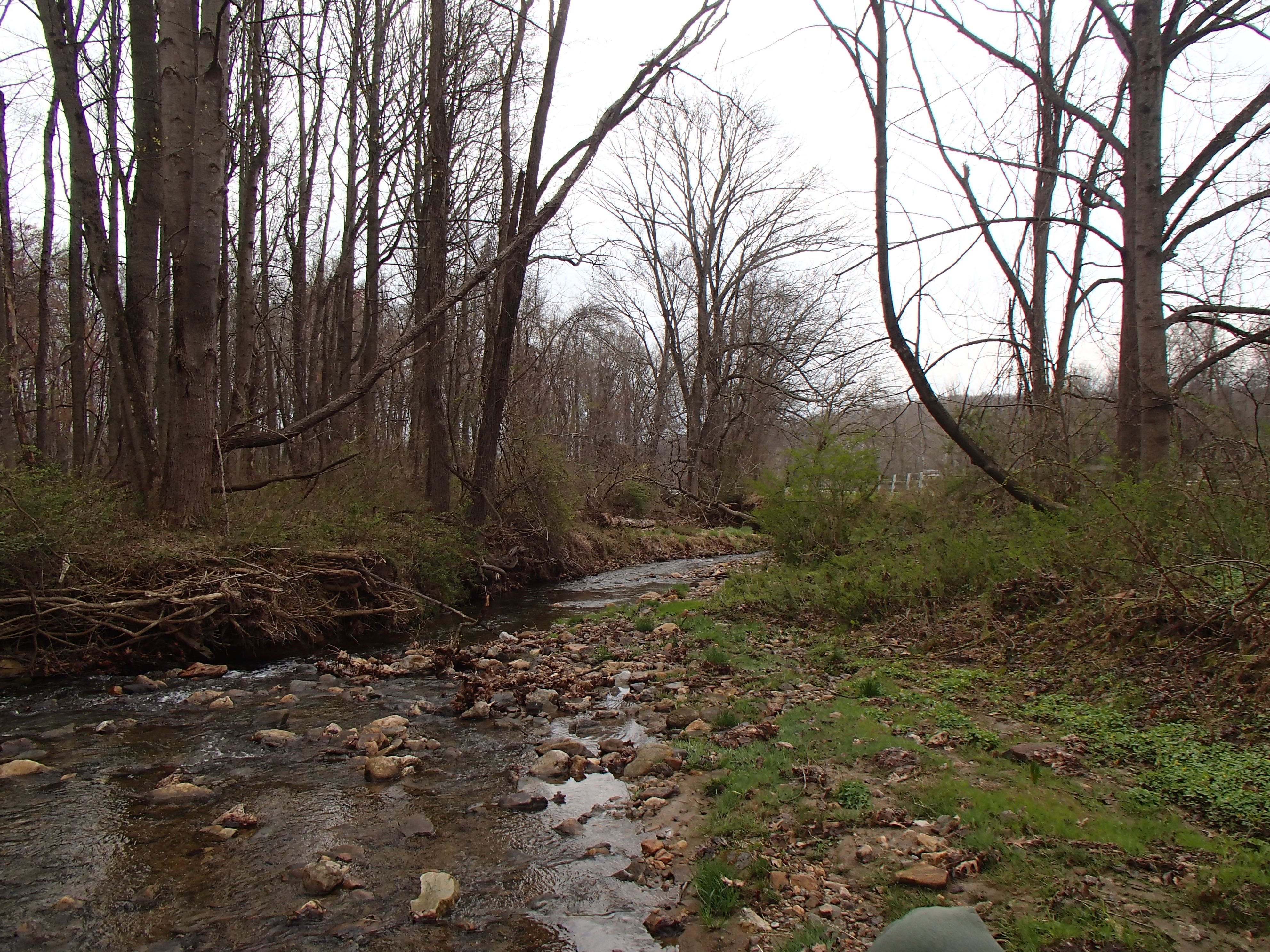Field photo showing stream conditions at site LOCH-202-R-2016_midpoint looking downstream